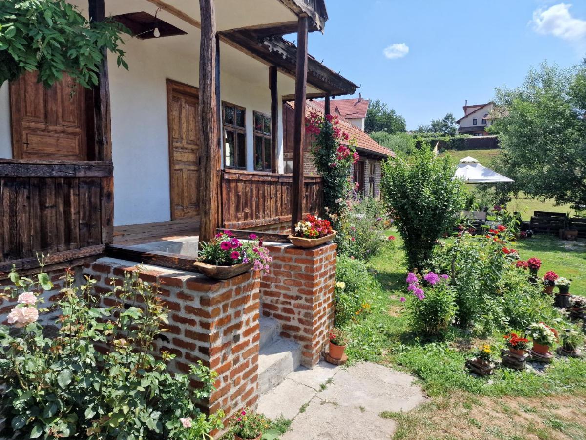 Old Court Villa Curtea De Arges Exterior photo