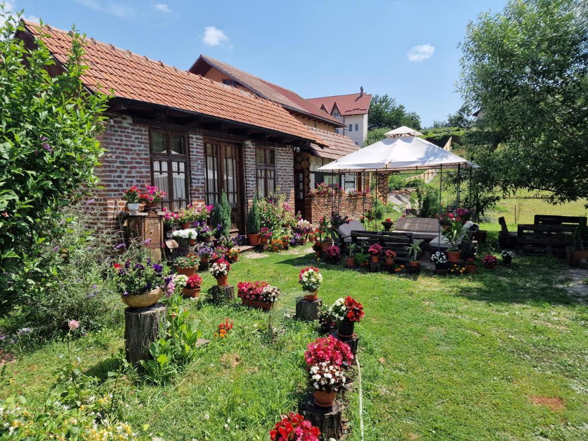 Old Court Villa Curtea De Arges Exterior photo