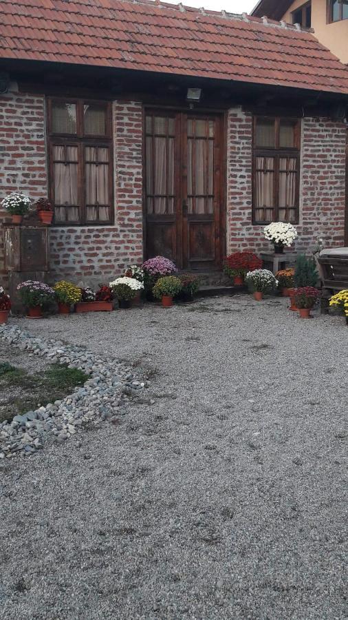 Old Court Villa Curtea De Arges Exterior photo